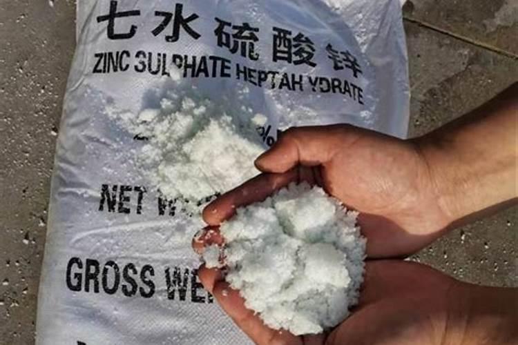 一公顷生产的玉米和一公顷长的草