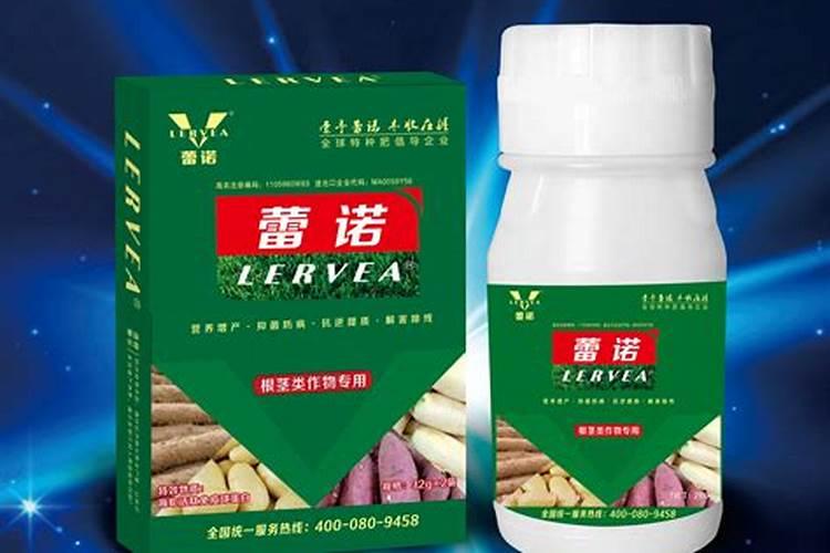 种植胡萝卜有什么技巧