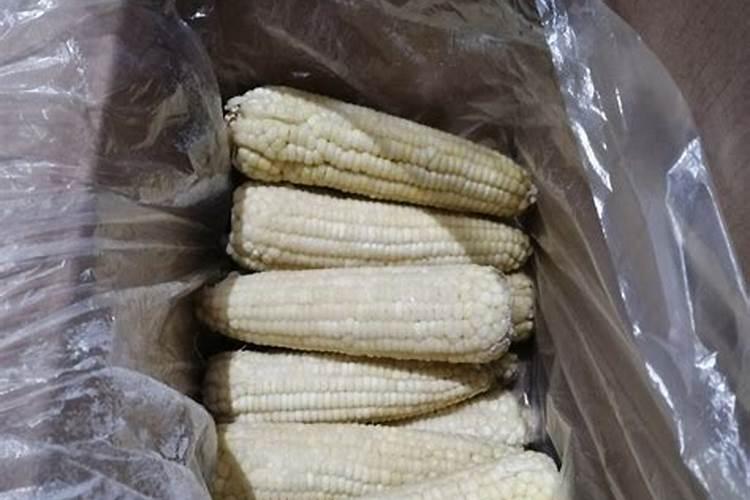 玉米专用肥哪个品牌好