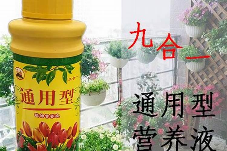 绿色植物的三大肥料是什么？它们各有什么用途？