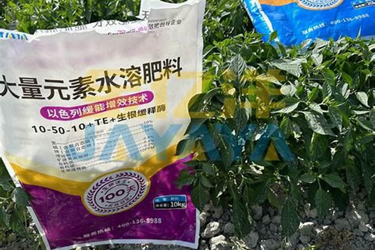 水溶肥肥效不好的原因
