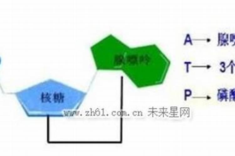 磷肥是什么肥料 磷肥是什么