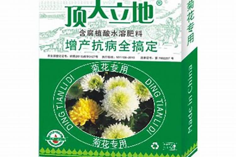 在秋天开花的花卉有哪些？