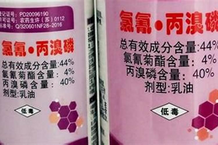 5月份水稻苗期管理方法要点 水稻应该怎么种植