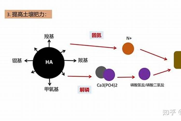 腐殖酸和腐植酸钠区别