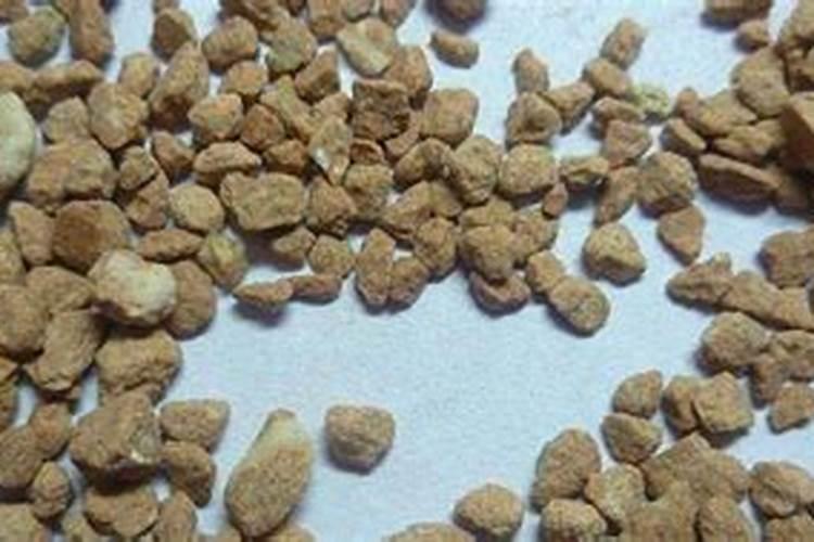 硫酸钾在烤烟上何时用最好