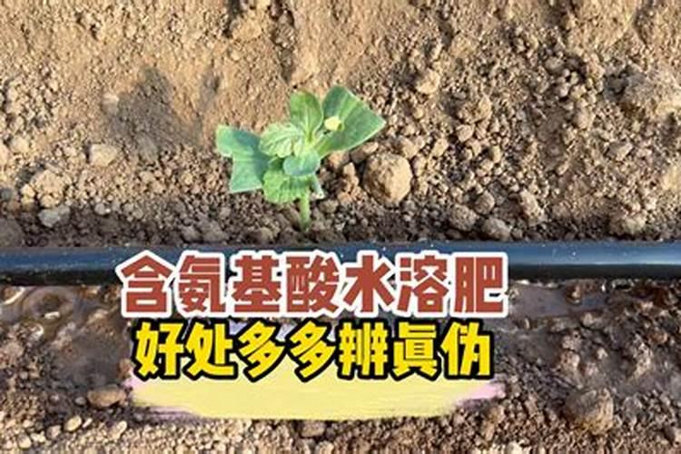 水溶肥是什么肥料,水溶肥怎么用效果好,注意事项