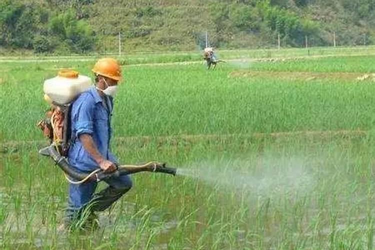 每种氮肥啥时能用、啥时不能用、具体怎么用？