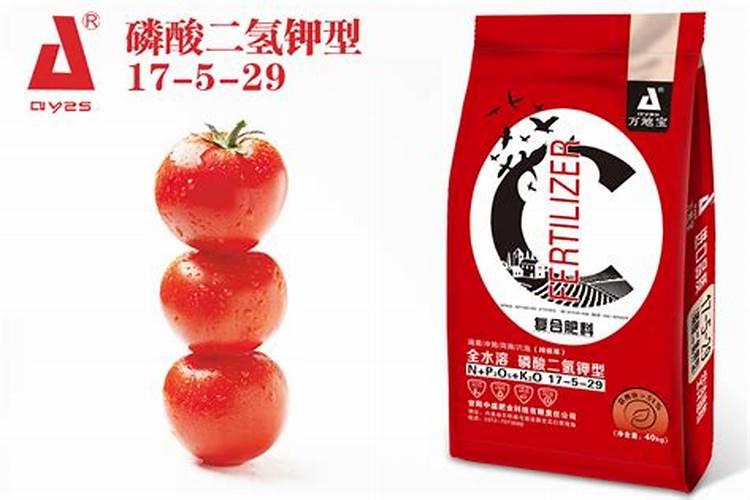 樱桃番茄施肥很关键,樱桃番茄施肥要求有哪些？