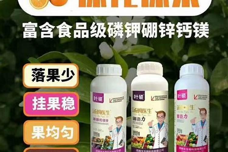 怎样防治柑橘缺硼症？
