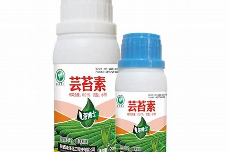 叶面肥是什么肥料