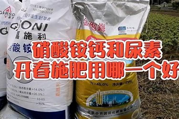 玉米追肥硝酸铵钙和尿素哪个好