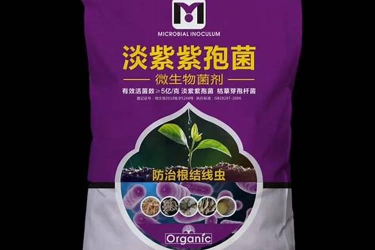 生物菌肥和普通的能用肥有什么样的区别？怎样使用才能达到预期效果？