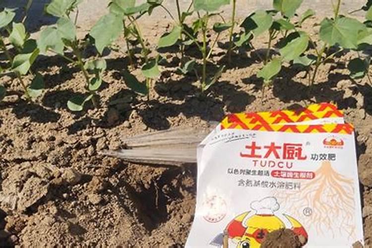 金正大水溶肥褪去高端外衣,走进寻常百姓家