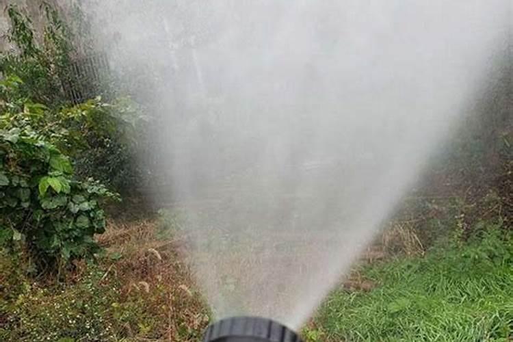 水溶肥能撒施后浇水吗