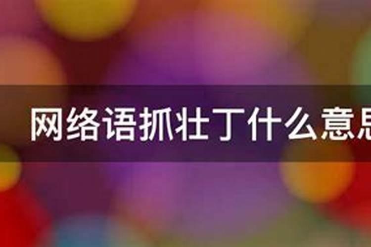 水溶肥是什么肥料