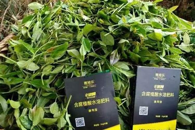 叶面肥功能特点