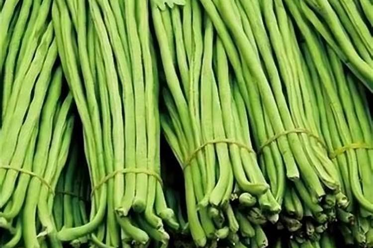 豇豆冬春茬温室应该如何栽培？如何做好管理呢？