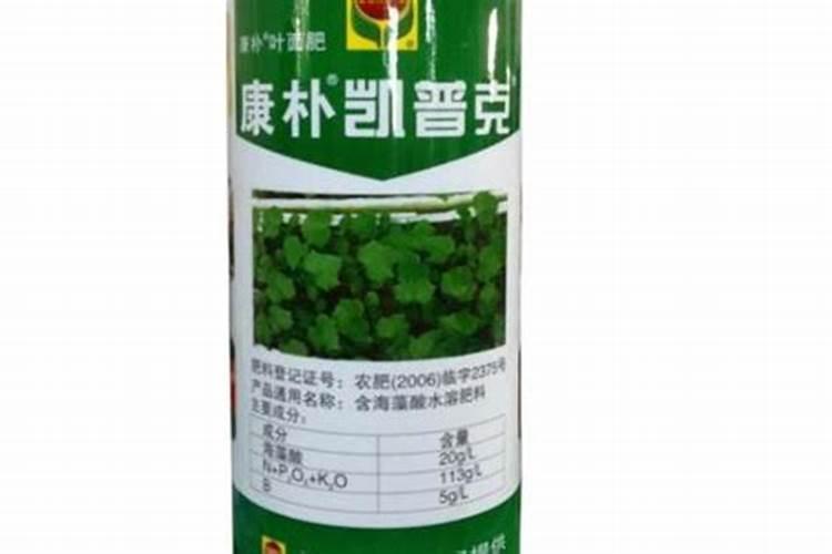 缩二脲是什么？