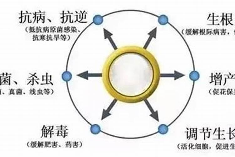 金舒心胶囊【产品优势】
