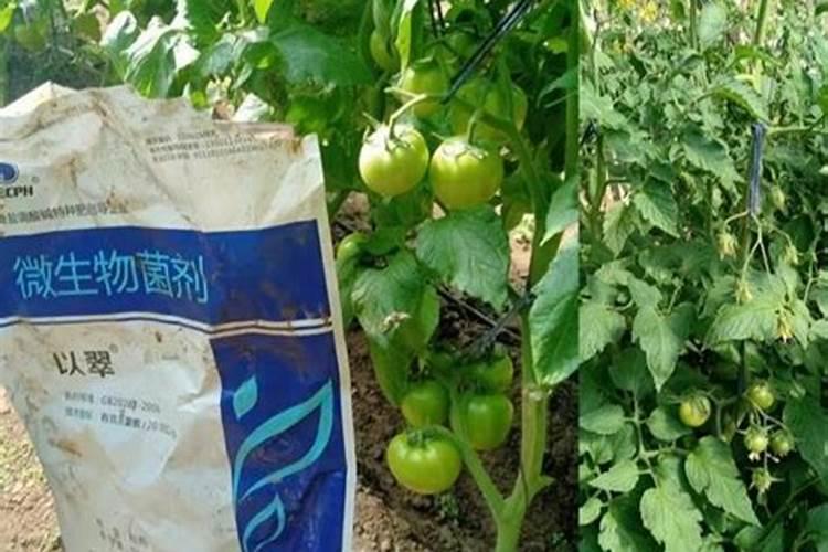 国内最好的水溶肥有哪几种,具体是那个厂家生产的