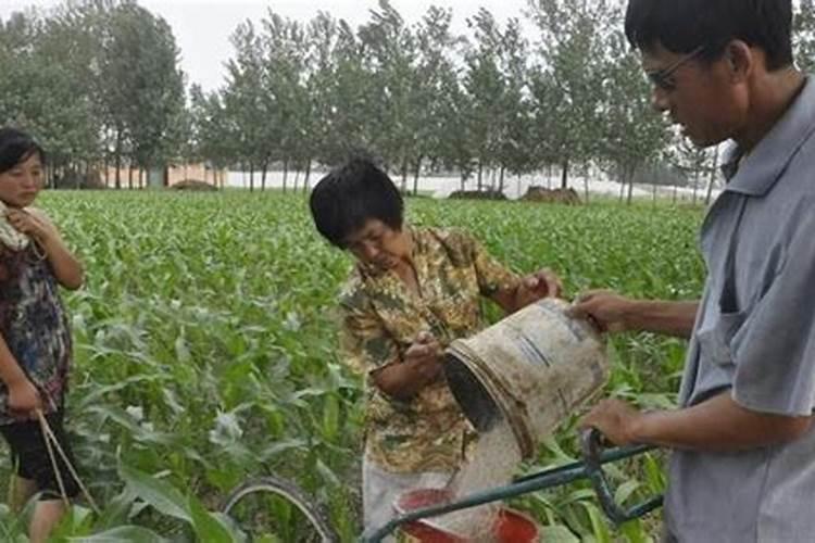 如何提高氮肥磷肥钾肥的利用率