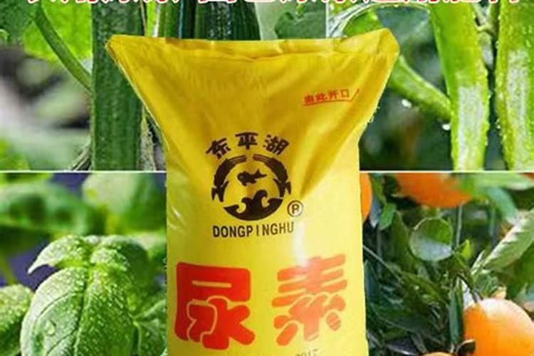 磷酸二氢钾怎么用最好