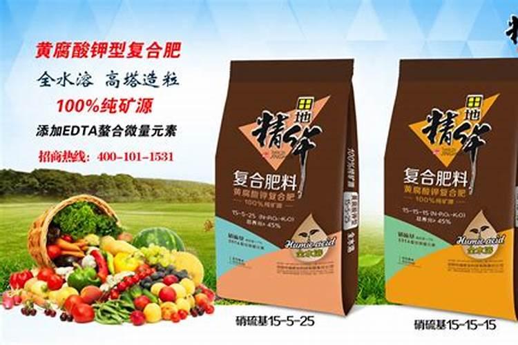 多肉长出两个花心怎么办