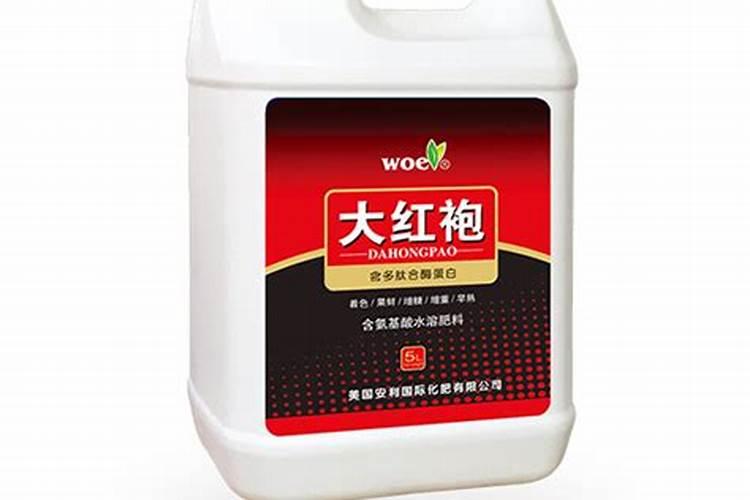 大红袍盆景如何养？