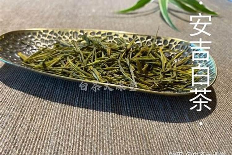 安吉白茶的种植技术有哪些？