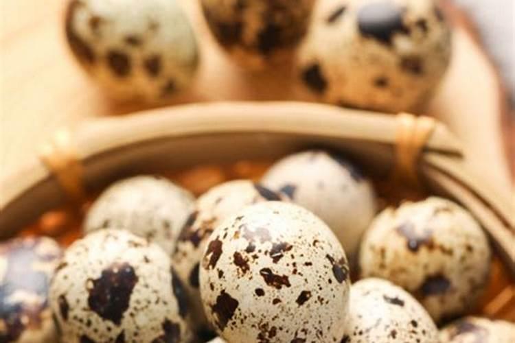 在养殖文竹的时候,如果想要爆盆,是否有什么小妙招？