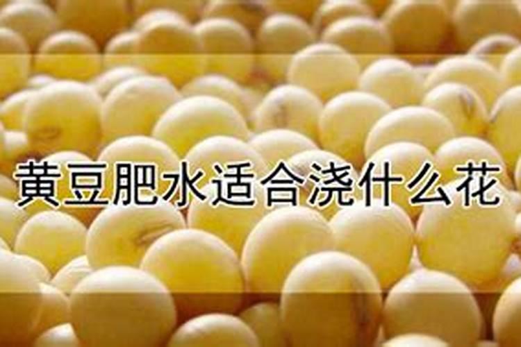 杜鹃花怎样泡才能快速发芽