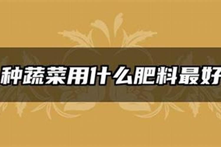 青储玉米秸秆饲料的制作方法