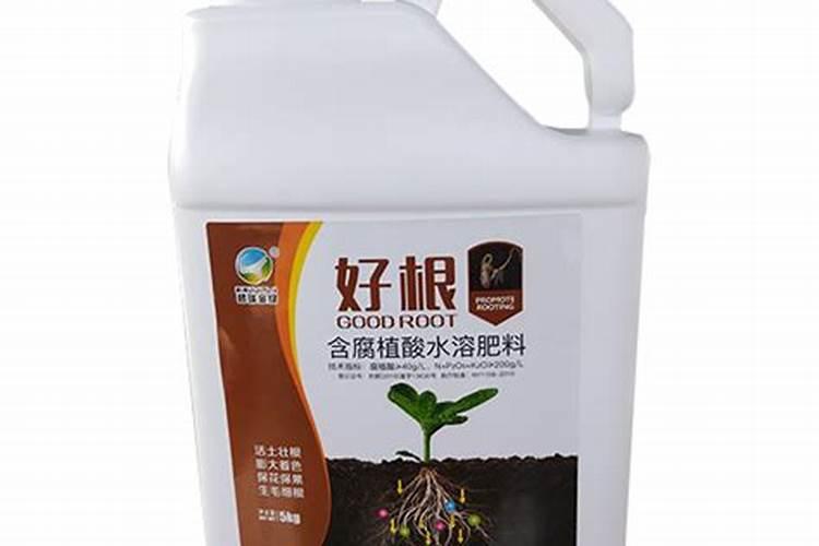 水溶肥如何给多肉施肥？