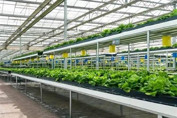 磷肥用于什么农作物 附使用方法