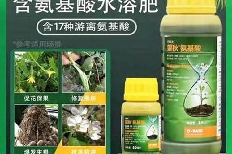 氨基酸叶面肥的功效与作用 氨基酸叶面肥优缺点有哪些