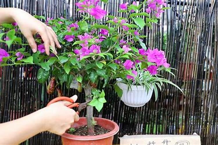 螯合液态氮肥有毒吗？