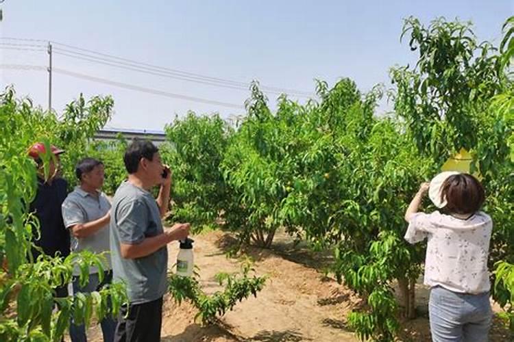 山东有实力的肥料公司有哪些？