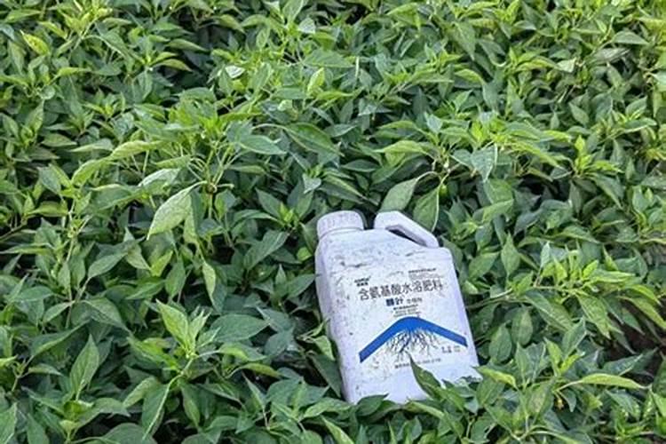 生根剂配方