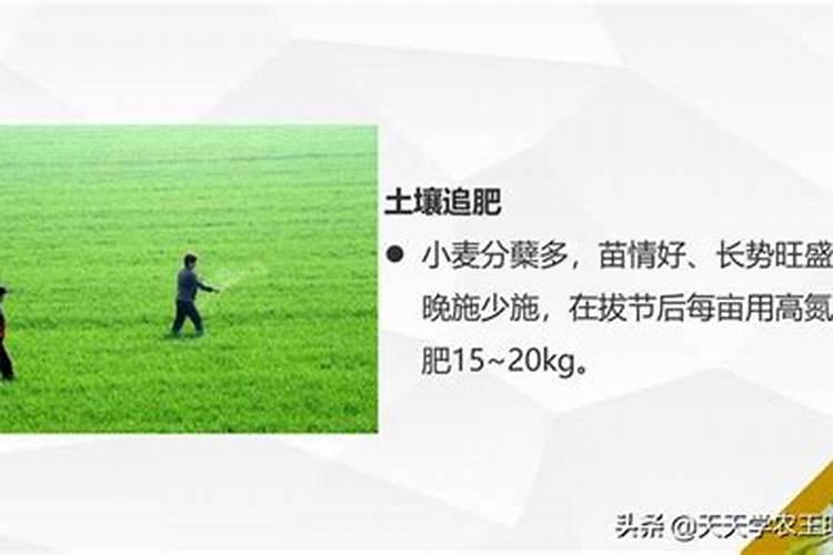 黄瓜如何施肥才能高产？