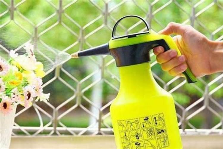 水里放什么浇花好