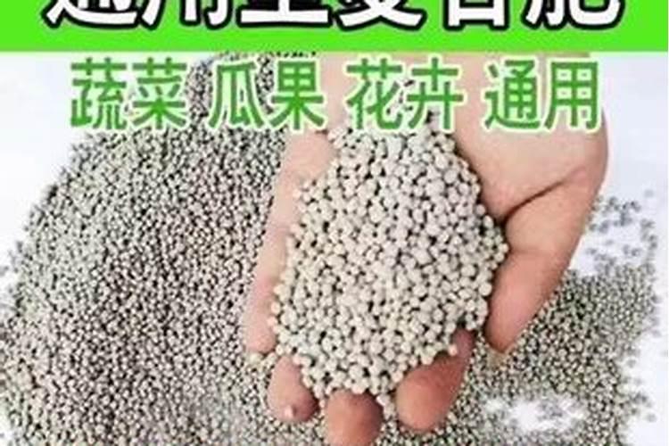 骨粉栽花怎么用