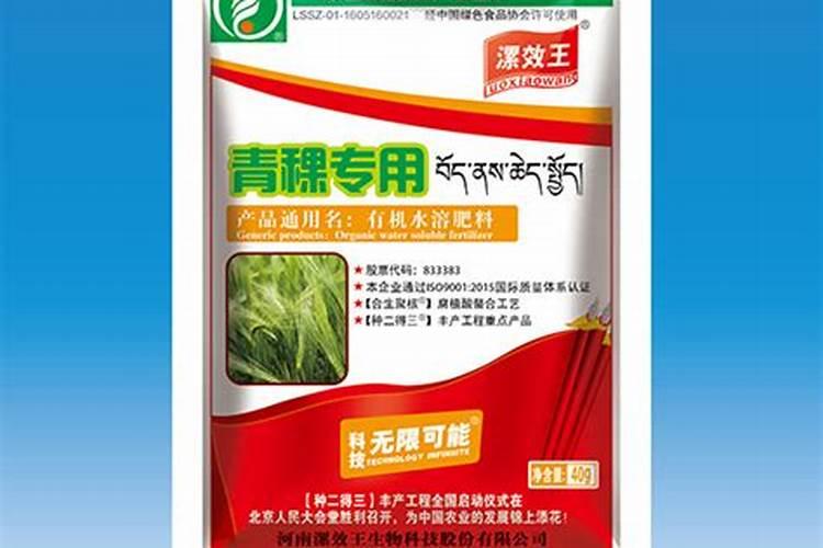 青稞栽培要点