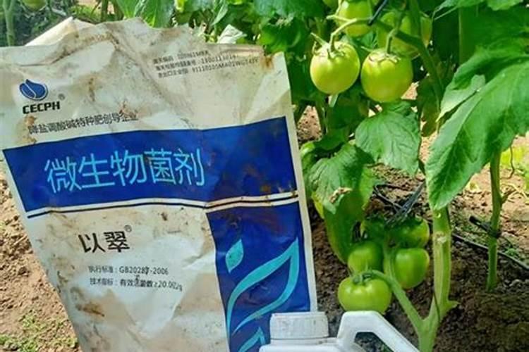 氯化钾是钾肥吗