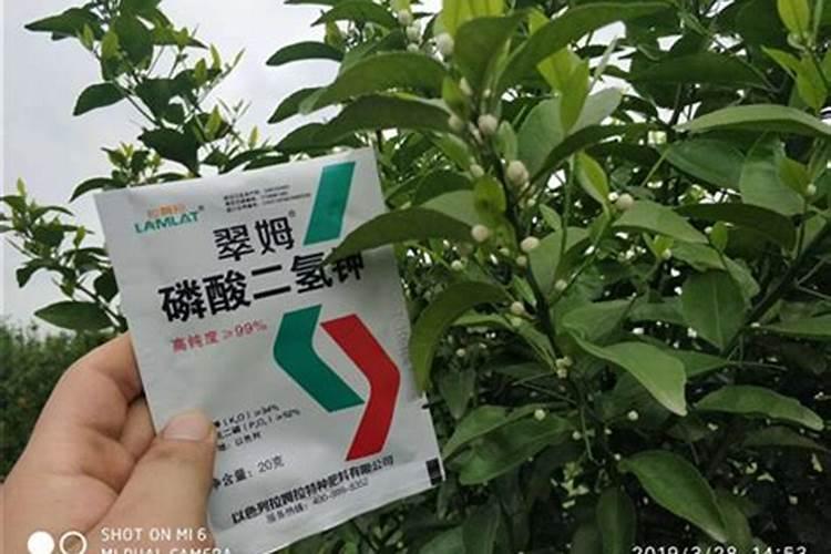 请问大神尿素可以当叶面肥使吗？怎么用？