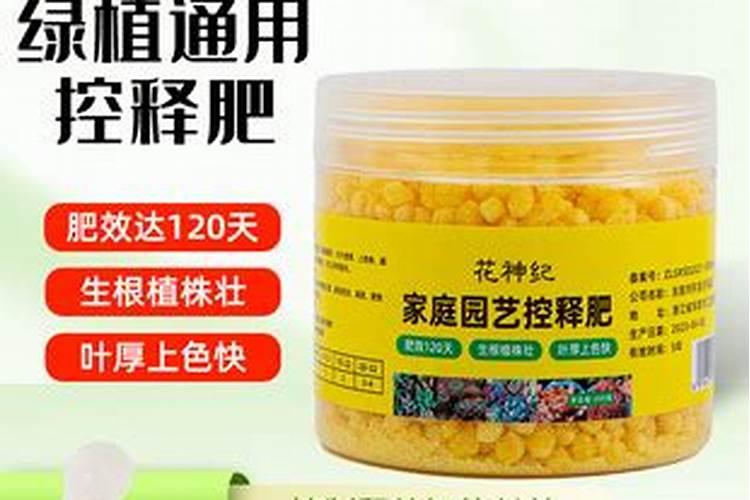 播种多肉植物可以直接用复合肥吗