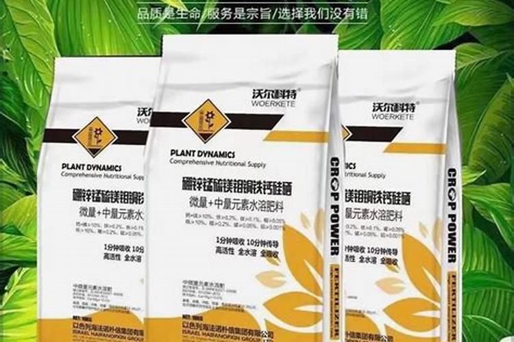 柑橘幼树该如何施硼锌铁镁肥？