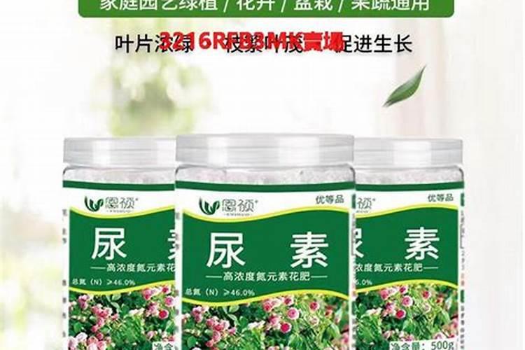 杜鹃花施什么肥料好 杜鹃花适合施哪种肥