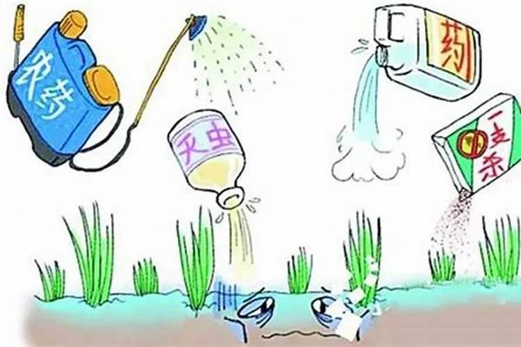 如何防止土壤污染危害(农药,化肥,水)