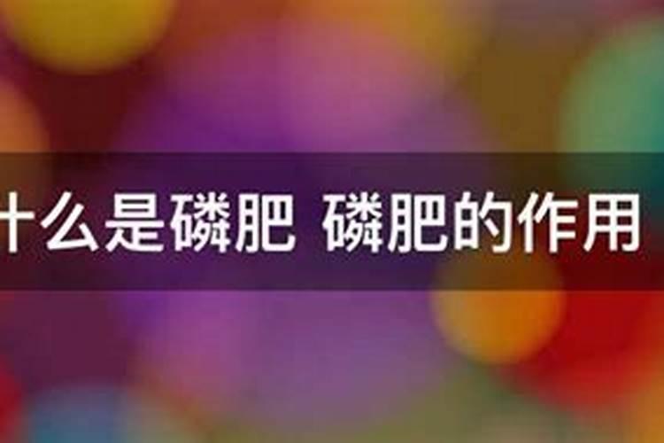 要桔子甜放什么肥料